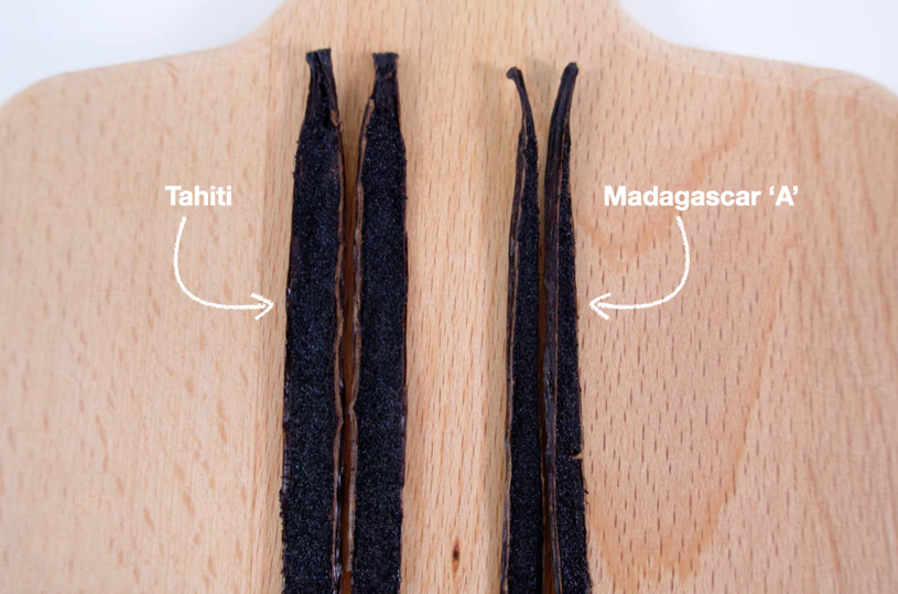 Gousse vanille tahiti VS gousse vanille Madagascar