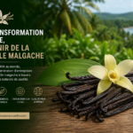transformation locale