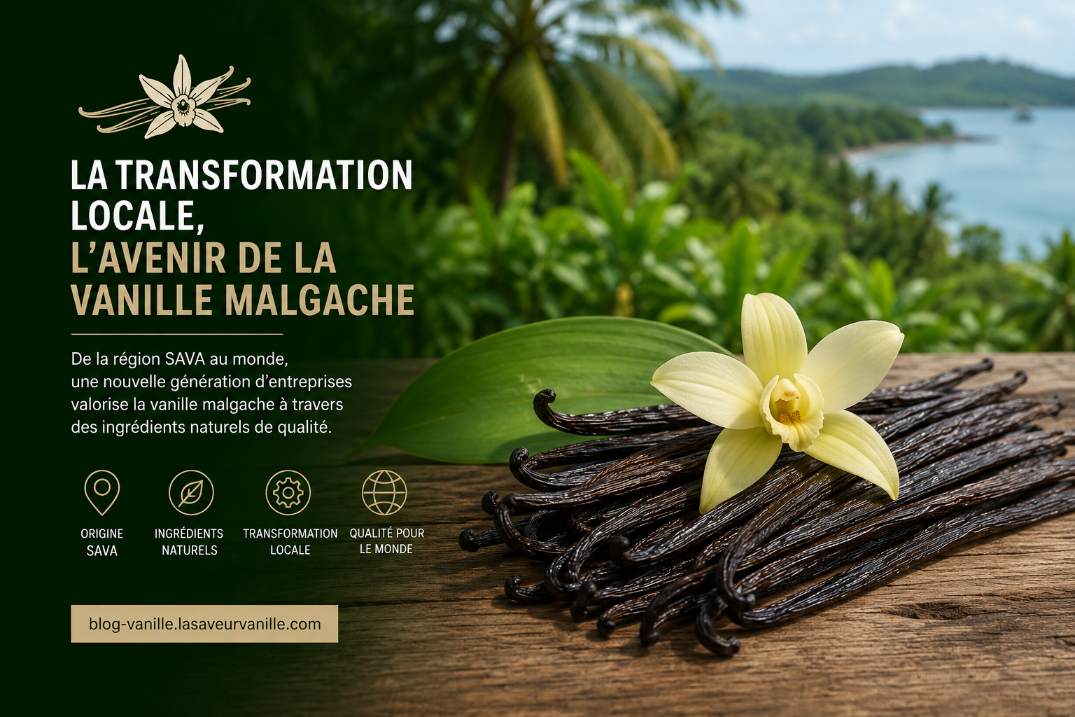 transformation locale